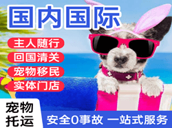 滨海机场邮寄国际宠物托运 【国